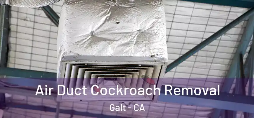 Air Duct Cockroach Removal Galt - CA