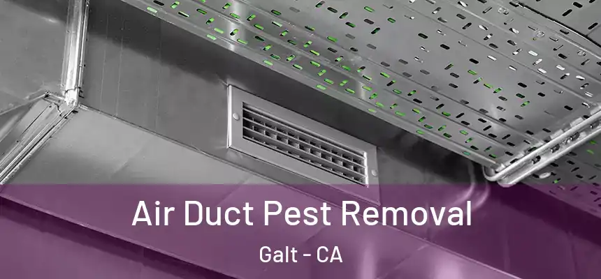 Air Duct Pest Removal Galt - CA