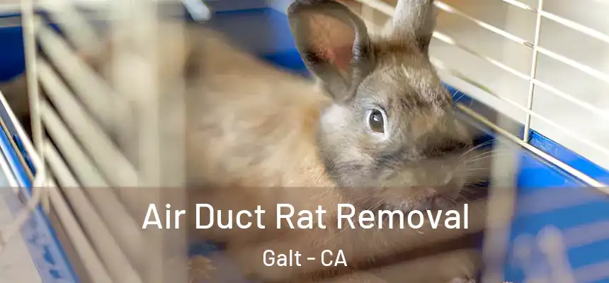  Air Duct Rat Removal Galt - CA