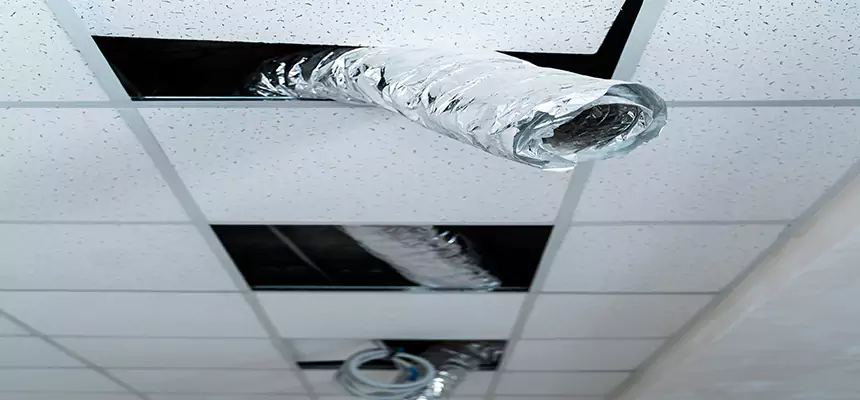 Our Air Duct Pet Hair Removal Services in Galt, CA