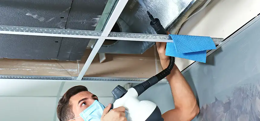 Our Air Duct Rodent Removal Services in Galt, CA