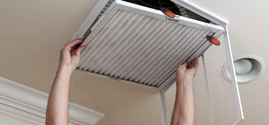 Our Insect Removal from Air Ducts Services in Galt, CA