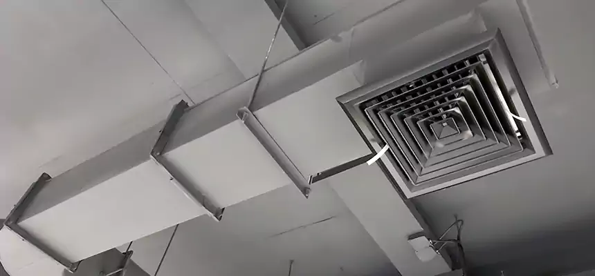 Our Pest Removal From Ducts Services in Galt, CA