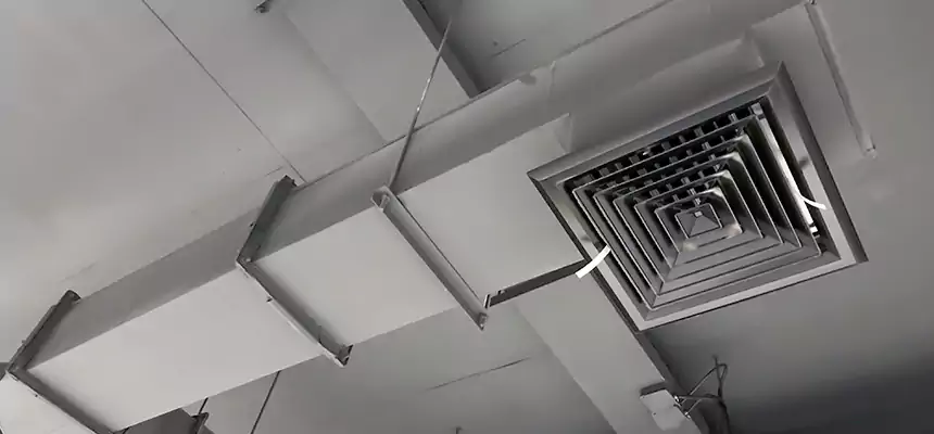 Our Rodent Droppings In Vents Services in Galt, CA