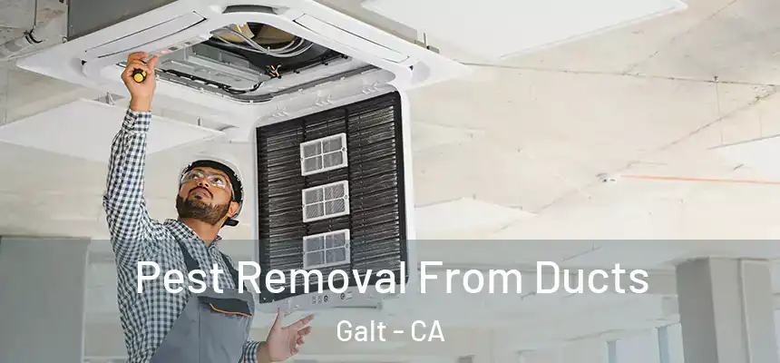  Pest Removal From Ducts Galt - CA