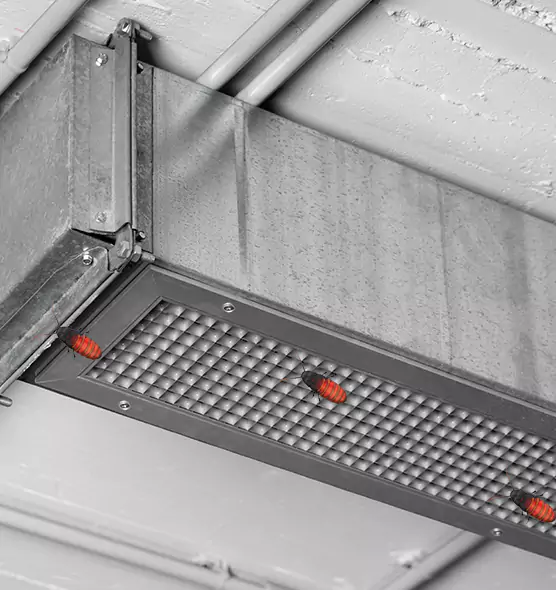 Affordable Insect Removal from Air Ducts in Galt, CA