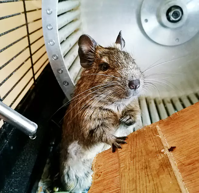 Why Homeowners & Businesses Trust Us Galt, CA